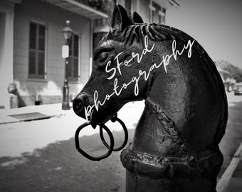 New Orleans Photography, Horse Tie, Black and White, New Orleans decor, French Quarter Photography, French Country