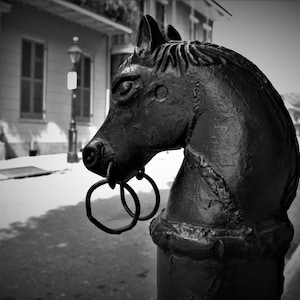New Orleans Photography, Horse Tie, Black and White, New Orleans decor, French Quarter Photography, French Country