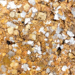 May include: Close-up of a rock surface with a mixture of gold and silver flecks. The rock has a rough, textured surface.