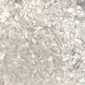 Fresco® Mica Venetian Plaster - Silver - Small Flake, Interior Decor, Decorative Wall Finish, DIY, Eco Friendly, Made in the USA