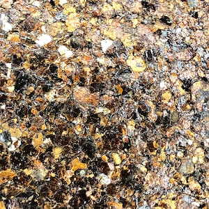 May include: Close-up of a textured surface with a mix of brown, gold, and black colors. The surface has a rough, uneven texture with small, irregular shapes.