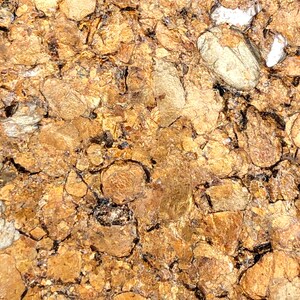 May include: Close-up of a textured surface with a gold metallic finish. The surface is cracked and broken, creating a unique pattern.