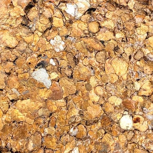 May include: Close-up of a textured surface made of small, irregularly shaped, gold-colored stones.
