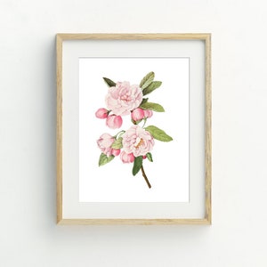 Rose Print, Pink Rose Wall Art, Decoración de pared de flores, Estampado floral vintage, Rose Printable, Decoración de baño, 5x7, 8x10, 11x14