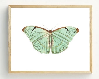 Butterfly Printable, Butterfly Wall Art Print, Minimalist home, Mint Green butterfly, Pastel Decor, 5x7, 8x10, 11x14 portrait or landscape