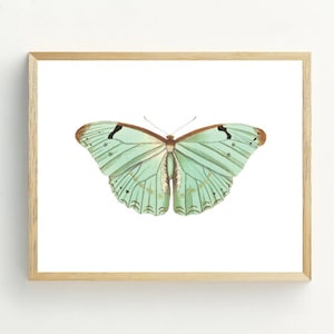 Butterfly Printable, Butterfly Wall Art Print, Minimalist home, Mint Green butterfly, Pastel Decor, 5x7, 8x10, 11x14 portrait or landscape