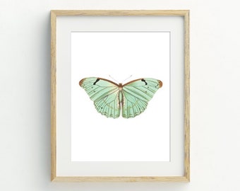 Butterfly Printable, Butterfly Wall Art Print, Minimalist home, Mint Green butterfly, Pastel Decor, 5x7, 8x10, 11x14 portrait or landscape