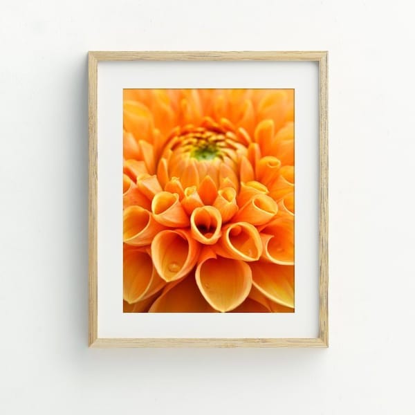 Dahlia Art Print, Orange Dahlia Photography, Instant Download Printable Art, Flower Wall Decor, Dahlia Flower Printable Art 5x7, 8x10, 11x14