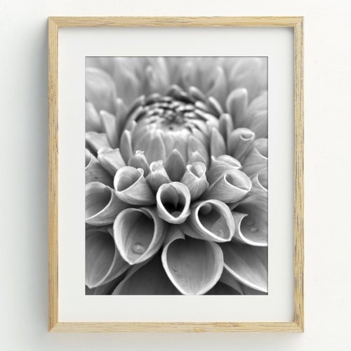 Flower Print Dahlia Wall Art Modern Flower Print Black and Etsy