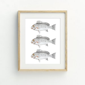 Fisch Druck, Fisch druckbar, Küsten Dekor, graue Fische Wandkunst, maritime Kunst, StrandKunst, Seehaus Dekor, FischKunst, 5x7, 8x10, 11x14