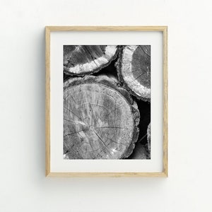 Tree Rings Photography Printable Wall Art, Wood Slice Art Print, Tree Stump, Digital Print Download, Modern Farmhouse Art, 5x7, 8x10, 11x14