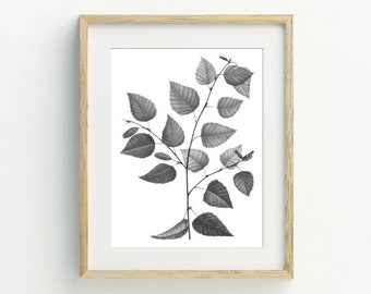 Botanical Print, Black and White Leaf Print, Instant Download Printable Art, Botanical Wall Decor, Leaf Printable Art, 5x7, 8x10, 11x14
