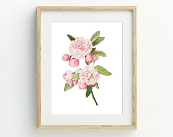 Poster Vintage Fleurs Roses – Grande Impression A0 Pour Décoration Murale
