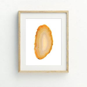May include: A framed print of a slice of agate with a white background. The agate is a light orange colour with white and brown bands.
