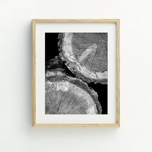 Tree Rings Printable Wall Art, Wood Slice Art Print, Tree Stump, Digital Print Download, Modern Farmhouse Art, Logs Photo, 5x7, 8x10, 11x14