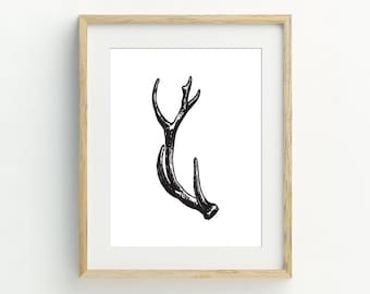 May include: Black and white illustration of a single deer antler, printed on white paper and framed in a light wood frame.