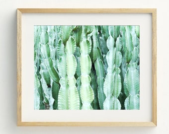 Kaktus Kunstdruck, Kaktus Wandkunst, Kaktus Poster, Kaktus Fotografie, Kaktus Wandkunst, Moderne Kaktus Wandkunst Digitaler Download