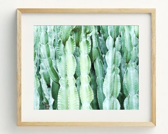 Kunstdruck-Set A4 – 3er Set Kaktus & Sukkulenten, 21x29,7 Cm, Mattes Fotopapier 230 G/m², Ungerahmt