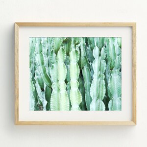 Kaktus Kunstdruck, Kaktus Wandkunst, Kaktus Poster, Kaktus Fotografie, Kaktus Wandkunst, Moderne Kaktus Wandkunst Digitaler Download