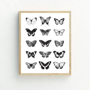 May include: A black and white print of a collection of butterflies in a wooden frame. The butterflies are arranged in a grid pattern and are all different shapes and sizes.