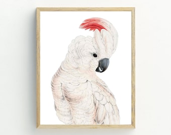 Cockatoo  Print, Bird Wall Art, Cockatoo printable digital download, Cockatoo poster, tropical bird wall art, 5x7, 8x10, 11x14