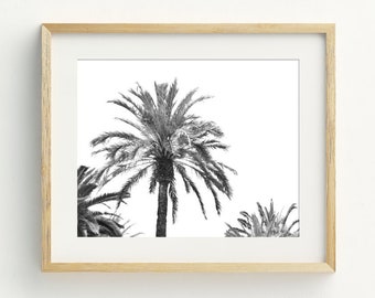 Palm tree art print, black and white palm tree printable wall art, beach decor, coastal wall art, beach decor, 5x7, 8x10, 11x14