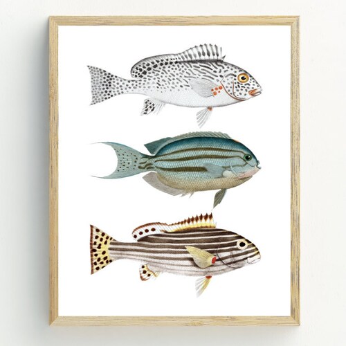 fish wall art printable Prints Digital Prints