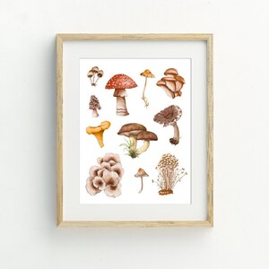 mushroom print, woodland wall decor, mushroom wall art, mushrooms printable, mushroom watercolor print,  5x7, 8x10, 11x14, 16x20