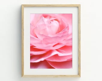 Impressão de flores, arte de parede rosa blush, impressão de flores modernas, flor de ranúnculo para impressão, decoração de parede de fotografia de flores, 5x7, 8x10, 11x14