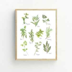 Herbs Print, Kitchen Wall Decor, Printable Kitchen Wall Art, digital download, minimalist wall art, 5x7, 8x10, 11x14, 16x20