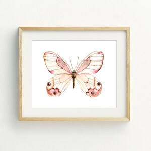 May include: A watercolor painting of a pink and white butterfly with brown accents. The butterfly is centered on a white background and is framed in a light wood frame.