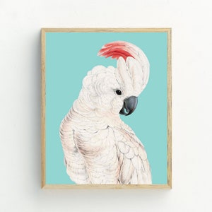 Cockatoo Print, Bird Wall Art, Cockatoo printable digital download, Cockatoo poster, tropical bird wall art, 5x7, 8x10, 11x14