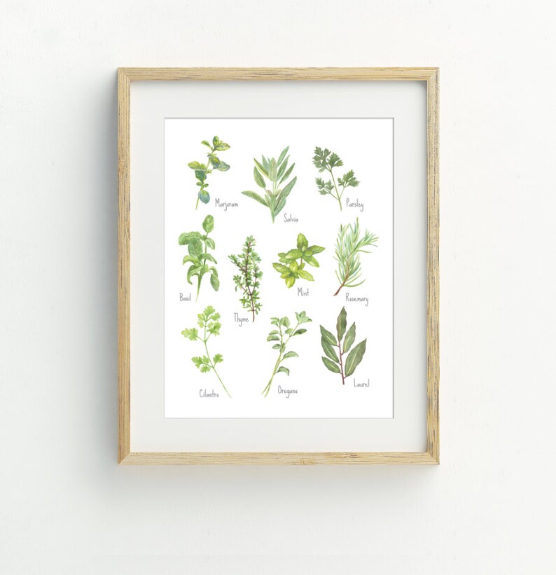 Herbs Print Kitchen Wall Decor Printable Kitchen Wall Art - Etsy