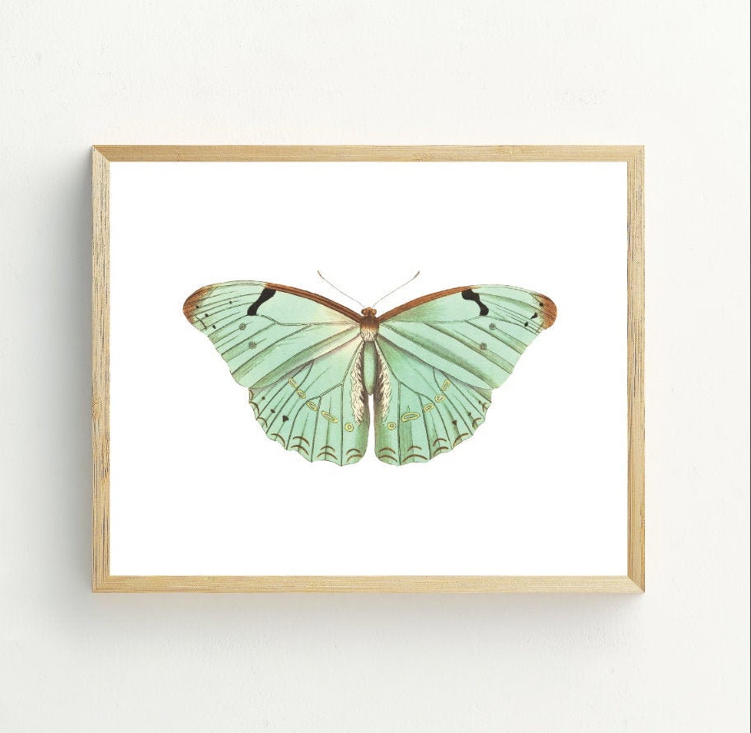 Butterfly Printable, Butterfly Wall Art Print, Minimalist Home, Mint ...