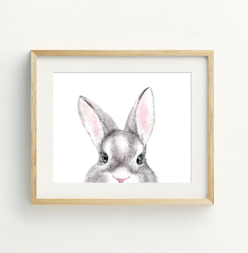 May include: A watercolor painting of a gray rabbit with pink ears, looking directly at the viewer. The rabbit's nose and whiskers are visible, and its eyes are large and dark. The background is white.