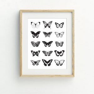 May include: A framed print featuring a black and white illustration of 18 different butterfly species. The butterflies are arranged in a grid pattern on a white background.