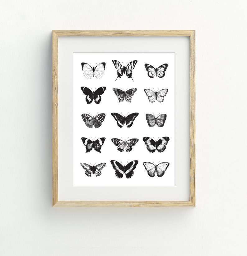 May include: A framed print featuring a black and white illustration of 18 different butterfly species. The butterflies are arranged in a grid pattern on a white background.