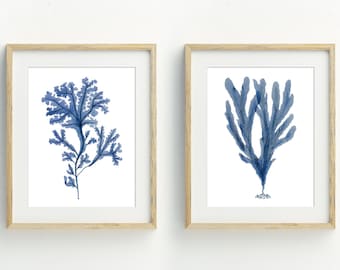Seaweed wall art, blue coastal decor, Set of 2 seaweed prints, beach printable art, Plant art, 5x7, 8x10, 11x14