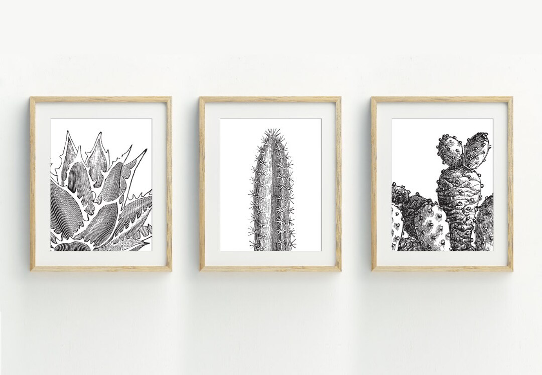 Cactus Art Print, Botanical Wall Art, Succulent Printable, Set of 3 ...