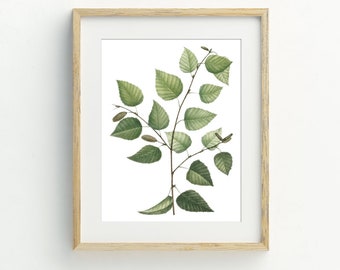 Botanical Art Print, Leaf Wall Decor, Instant Download Printable Art Vintage Leaves Printable Art Botanical Wall Decor, Plant Art