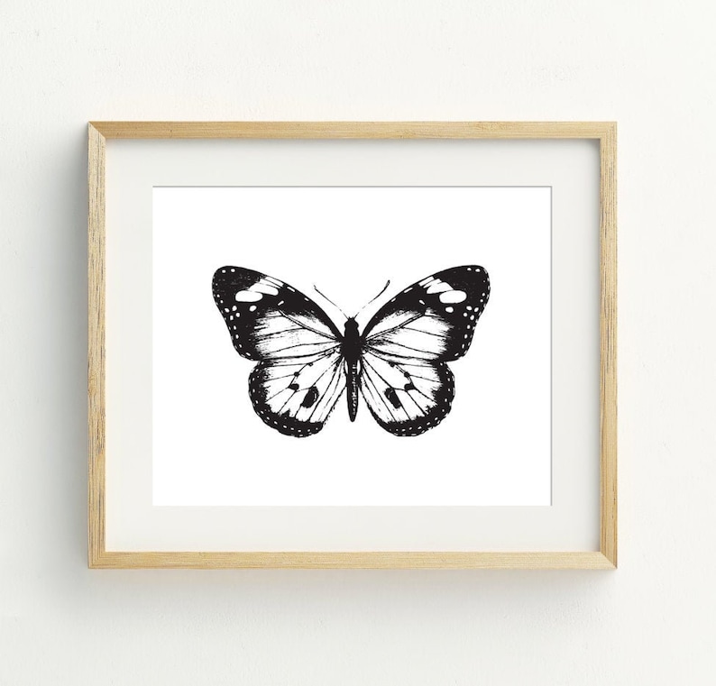 Op de afbeelding: Een zwart-witte illustratie van een vlinder met zijn vleugels wijd uitgespreid. De vlinder is gecentreerd op een witte achtergrond en ingelijst in een licht houten frame.