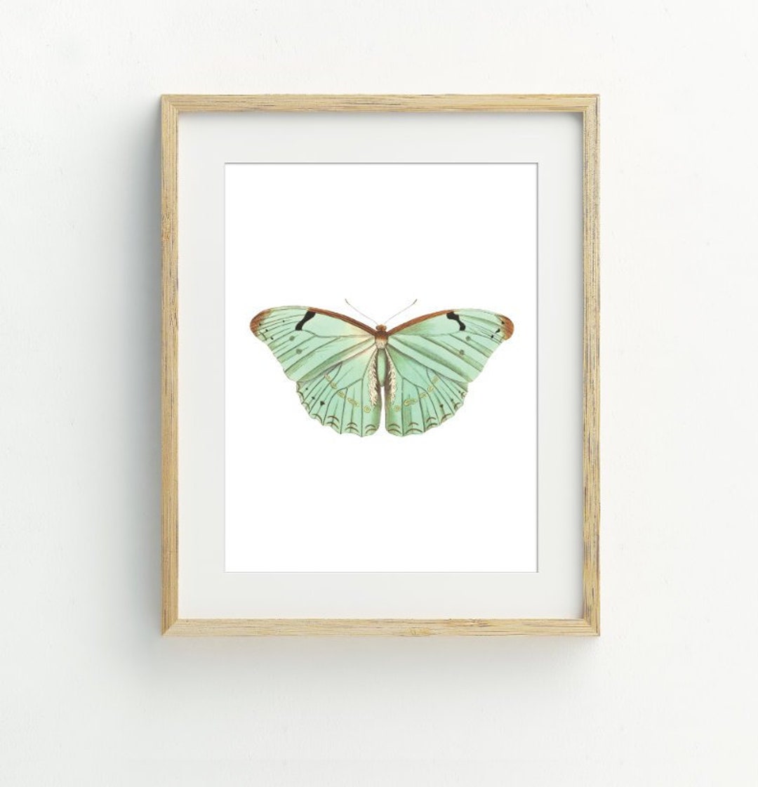 Butterfly Printable, Butterfly Wall Art Print, Minimalist Home, Mint ...