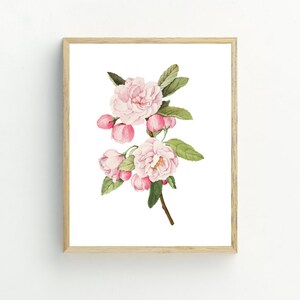 May include: A watercolor painting of a pink blossom branch with delicate pink flowers and green leaves.