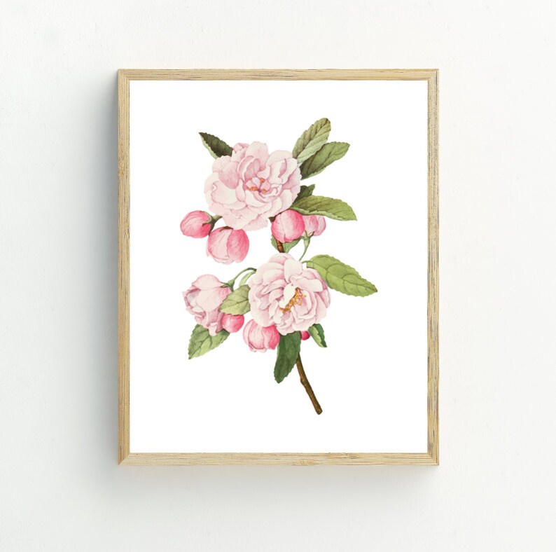 May include: A watercolor painting of a pink blossom branch with delicate pink flowers and green leaves.