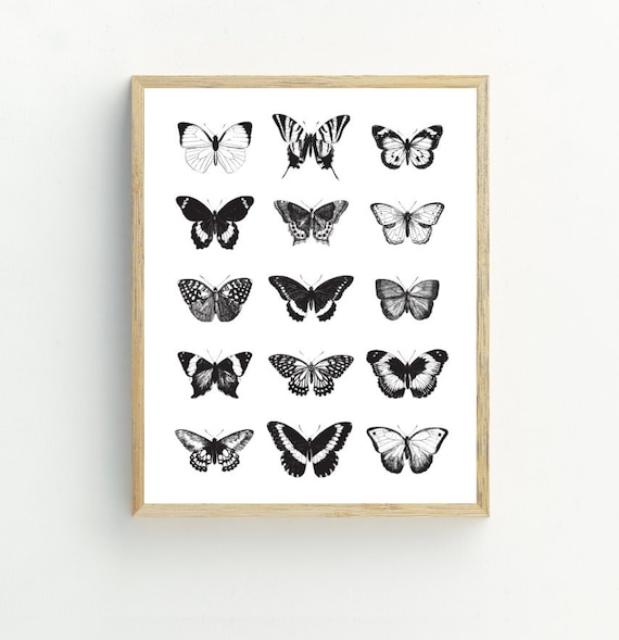 Butterflies Printable, Monochrome Butterfly Art Prints, Black and white wall art, contemporary Decor, 5x7, 8x10, 11x14, 16x20