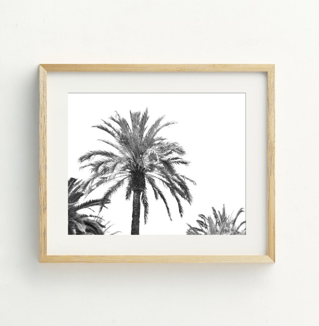 Palm Tree Art Print, Black and White Palm Tree Printable Wall Art ...