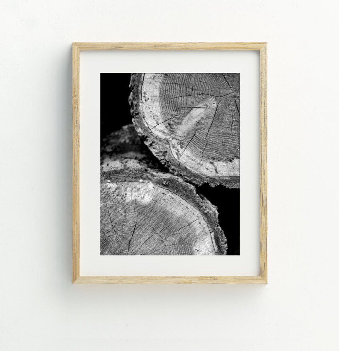 Tree Rings Printable Wall Art, Wood Slice Art Print, Tree Stump