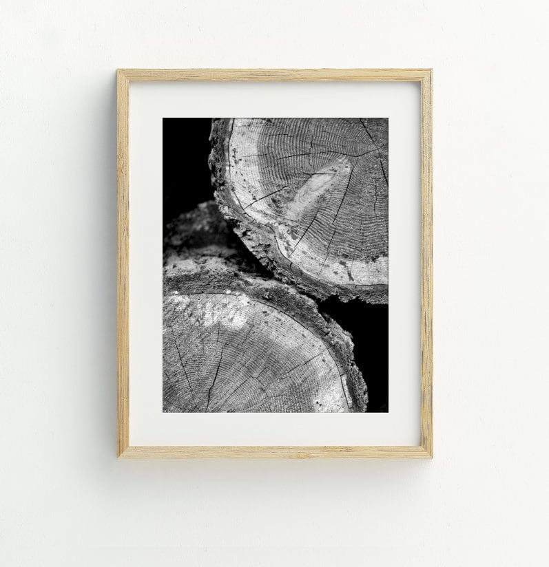 Tree Rings Printable Wall Art, Wood Slice Art Print, Tree Stump ...