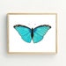 Butterfly Printable, Butterfly Wall Art Print, Minimalist Home, Teal ...
