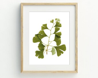 Ginkgo Art Print, Botanical Wall Decor, Instant Download Printable Art, Botanical Wall Decor, Plant Art